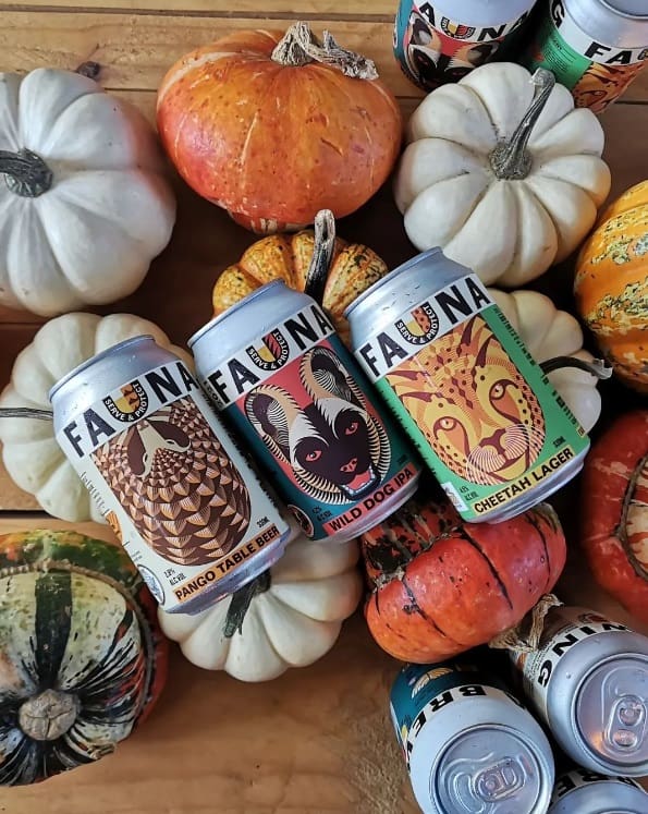 Cans of Fauna eco-friendly beer on top of mini pumpkins.