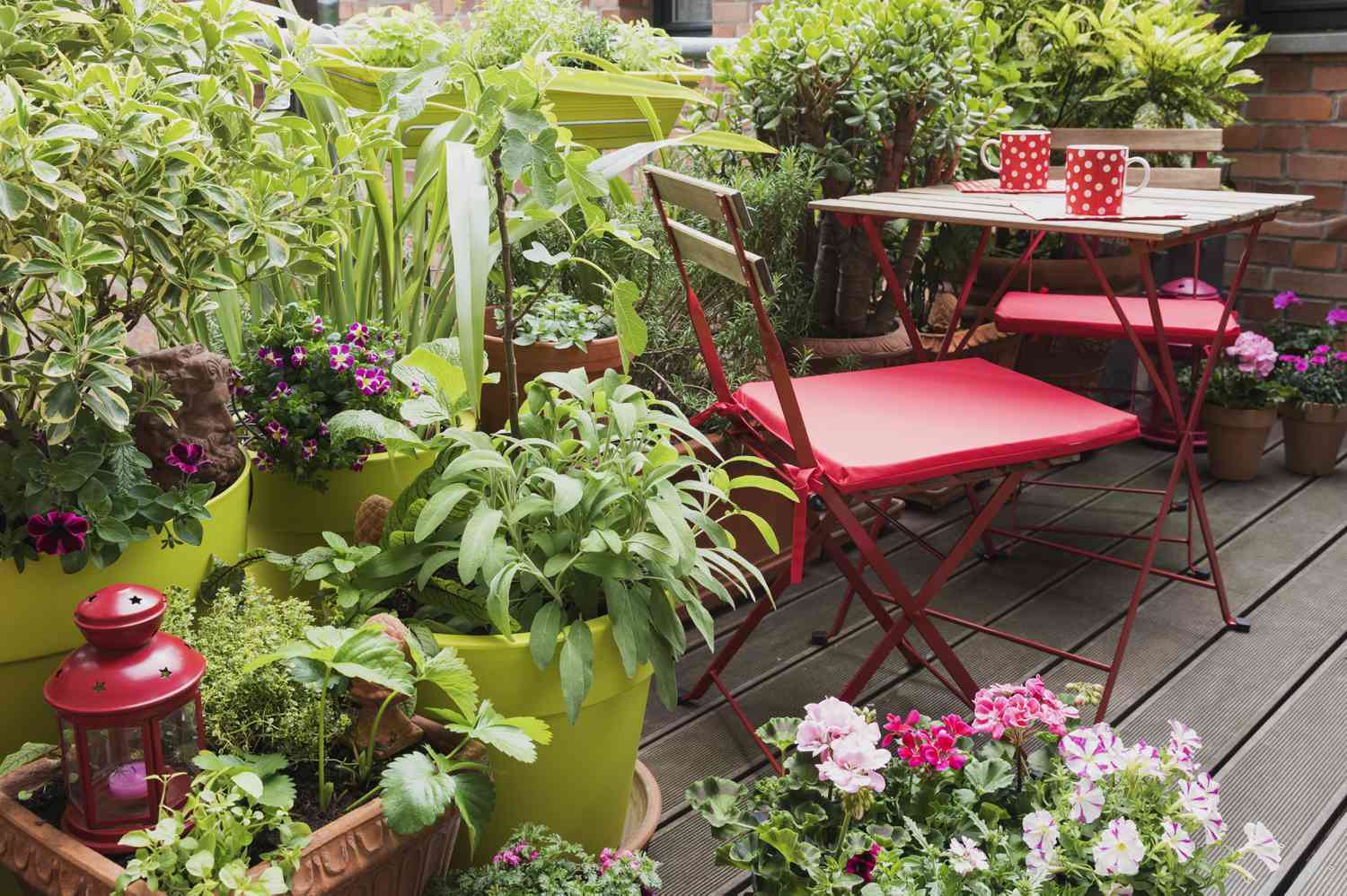 16 Good Low-Maintenance Outdoor Potted Crops